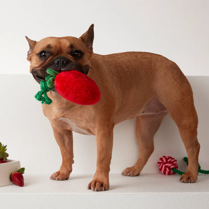 Squeaky Plush Strawberry