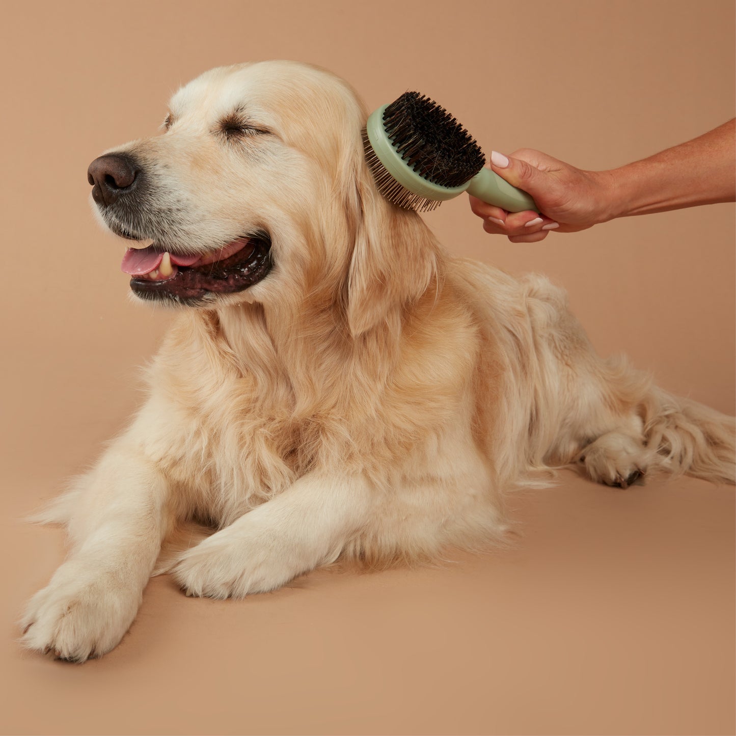 2-in-1 Pet Groomer Brush