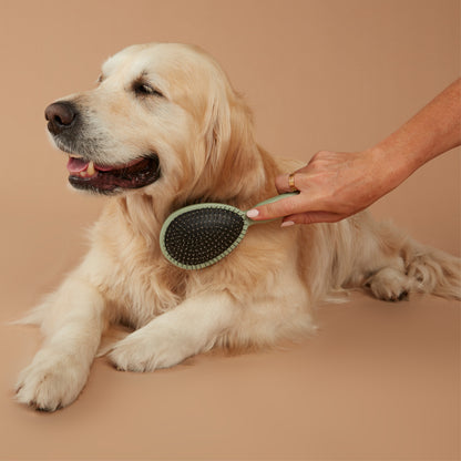 2-in-1 Pet Groomer Brush