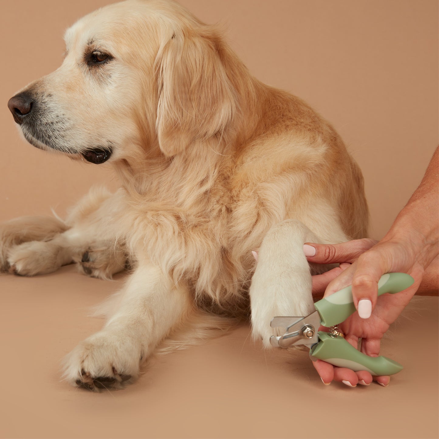 Pet Nail Clippers