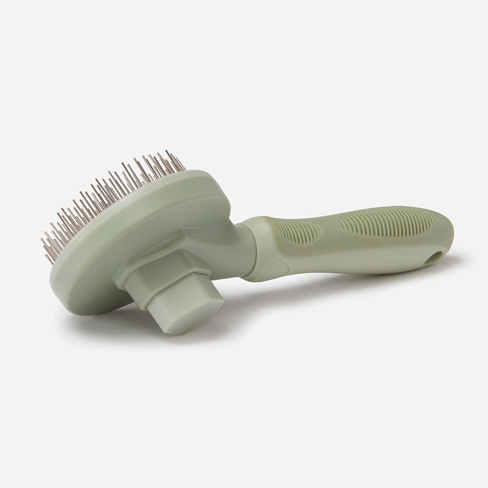 Pet Self Cleaning Everyday Brush