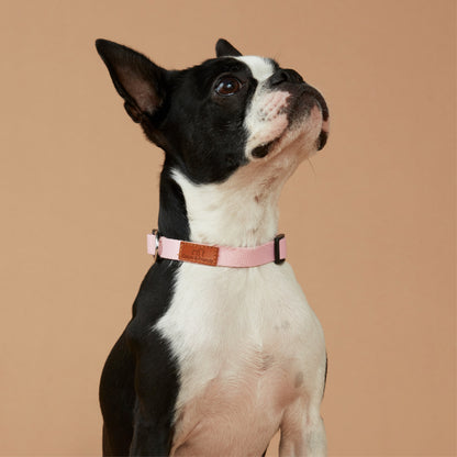 Value Dog Collar Pink