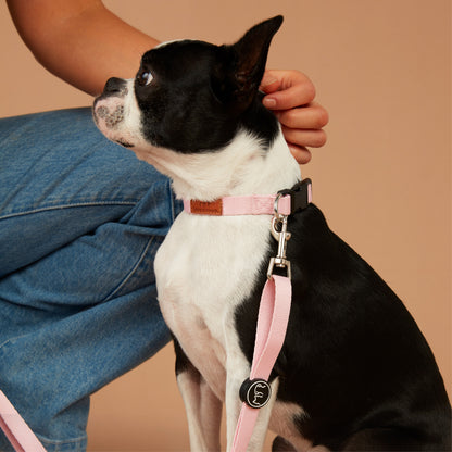 Value Dog Collar Pink