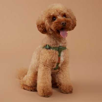 Oscar & Friends Value Dog Harness Khaki