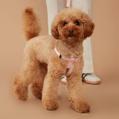 Value Dog Harness Pink