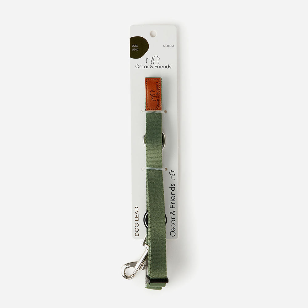 Value Dog Lead Khaki