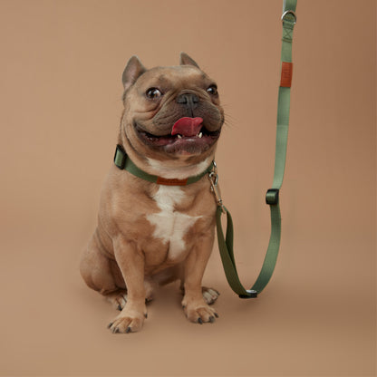 Value Dog Lead Khaki