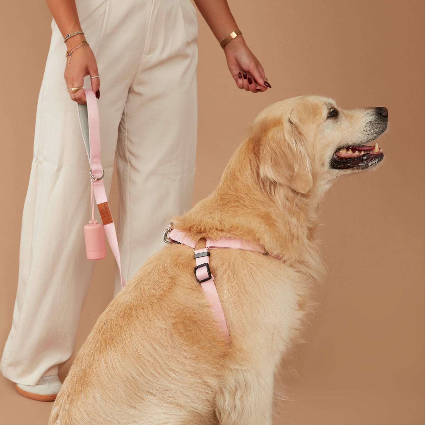 Value Dog Lead Pink