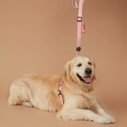 Value Dog Lead Pink