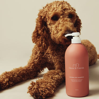 Oatmeal Pet Shampoo